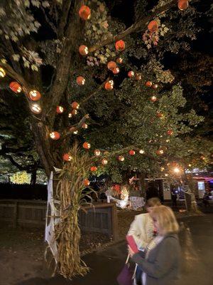 Halloween event with decorated trees.