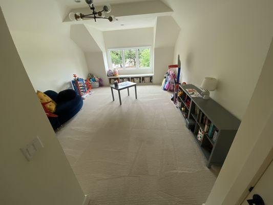 Always Dry Carpet and Rug Cleaning