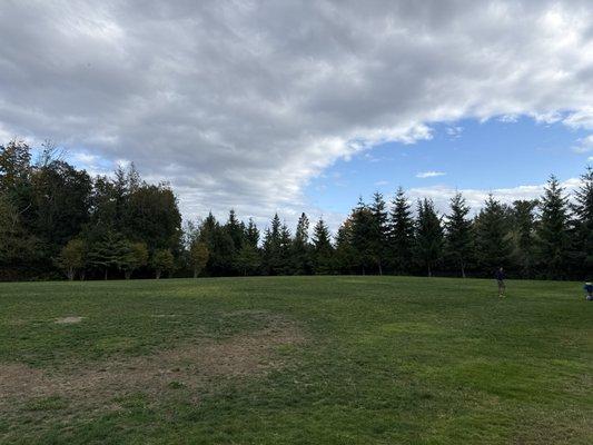 Martha Lake Airport Park