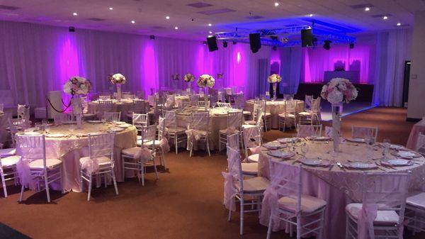 Orchids and Flowers 305