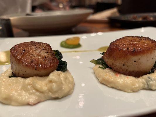 Scallops