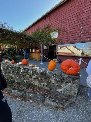 Homestead Farm of Jones Family Farms
