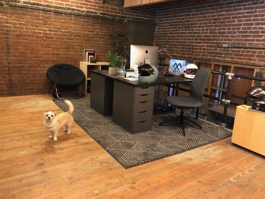 Private Desk Rentals