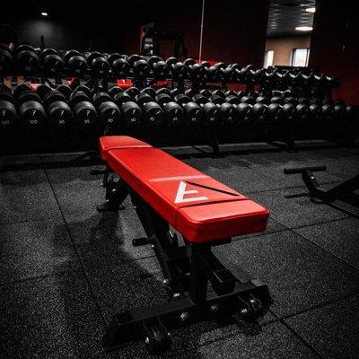 Iron Fit Gym & Wellness Center