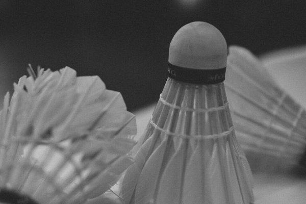 YOUHE S100 shuttlecock been use in the tournament