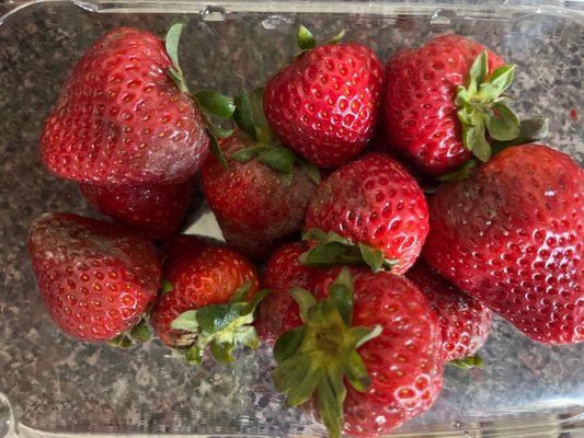 Moldy Strawberries!