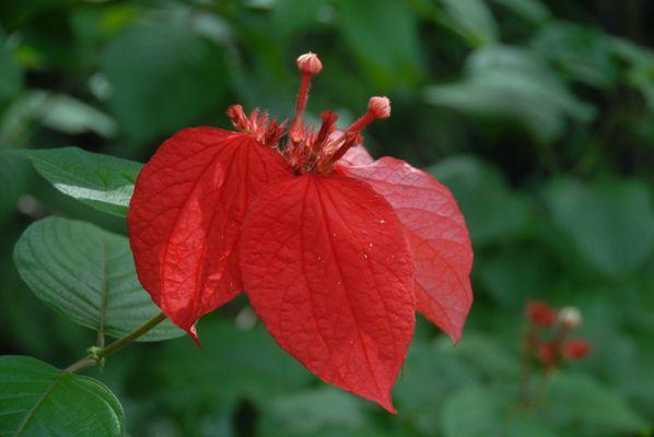 Block Botanical Gardens