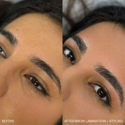 Upbeat Brows