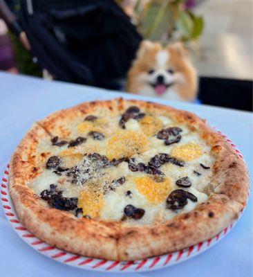 Funghi: Mushrooms, mozzarella, shaved truffle, parmesan wafers, hazelnuts | $22