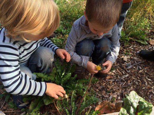 Roots-n-Shoots Preschool