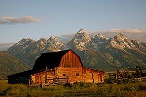 Mt. Everest Trading Co