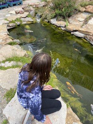 Spencer's Lawn & Garden Centers