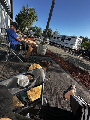 Elks Lodge B P O E 1240