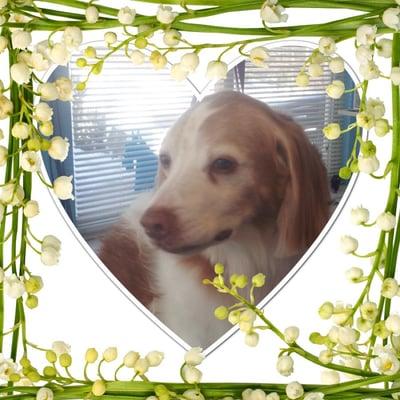 Th a has got to be the sweetest face I have ever seen