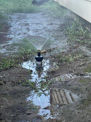 Urban Landscaping and Maintenance