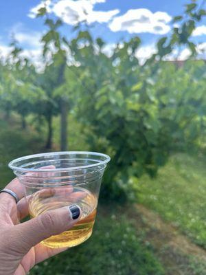 Dove Valley Vineyard