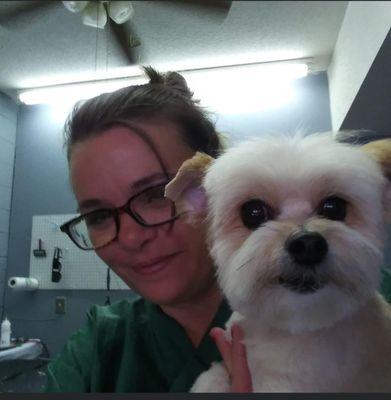 Sarah's Groom & Board