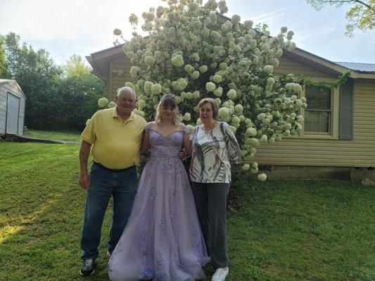 Allison's Alterations & Design