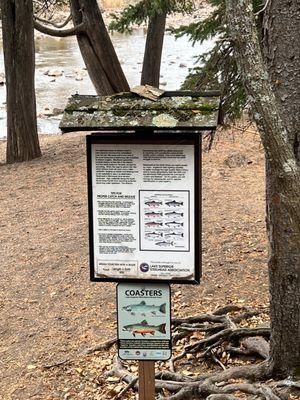 Fishing near Gooseberry