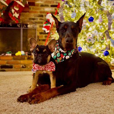 Family Pet Clinic of Redondo Beach