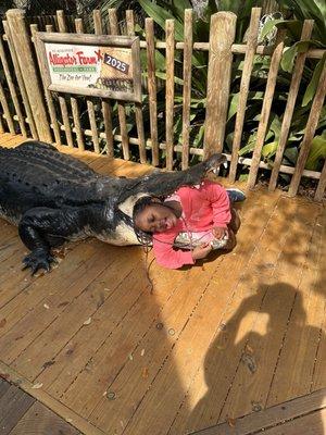 St. Augustine Alligator Farm Zoological Park