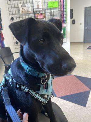 Margaret B Mitchell Spay Neuter Clinic