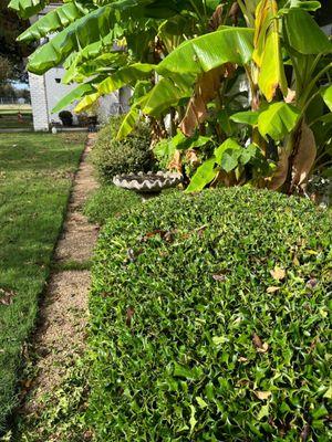 Gardeners In Action Landscaping Services