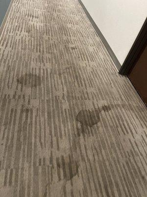 WoodSpring Suites Nashville Near Rivergate