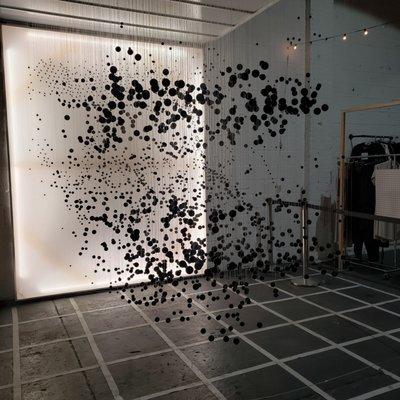 The Canvas
