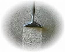 Steam Clean Your Carpet