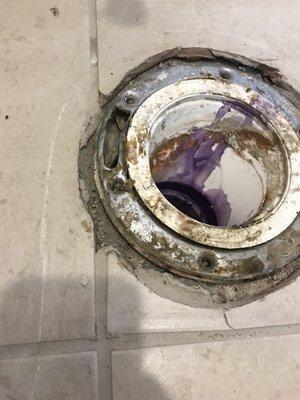 Trinity Plumbing