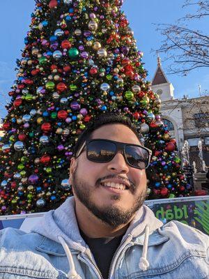 Alex's Handyman Services