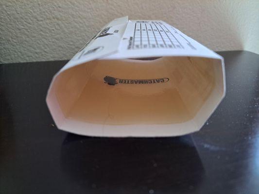 United Pest Solutions