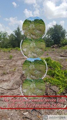 The Rigaud Junk Remove