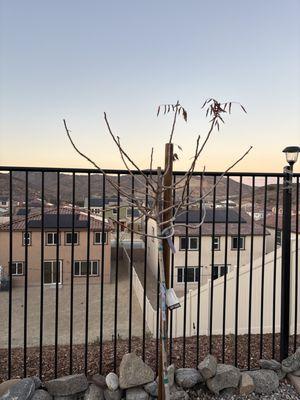 Renovation and Construction Services