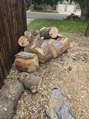 Oak and Ivy Tree Care