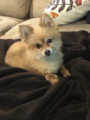 Kim's Suds and Shears