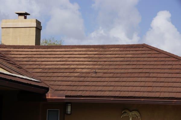 FoamBrite Roof Cleaning