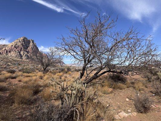 Sandstone Canyon Trail