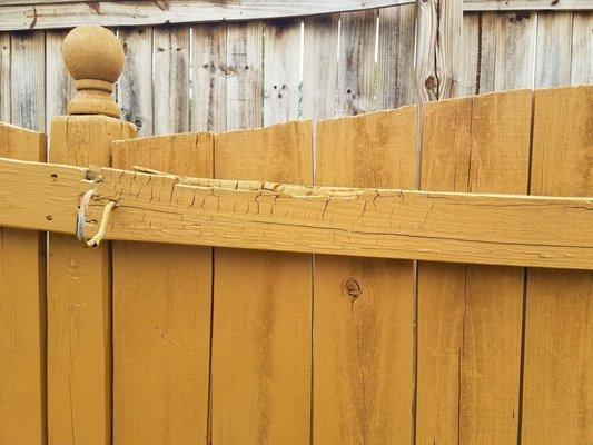Backyard Fence