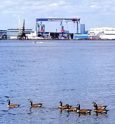 Red Bank Battlefield