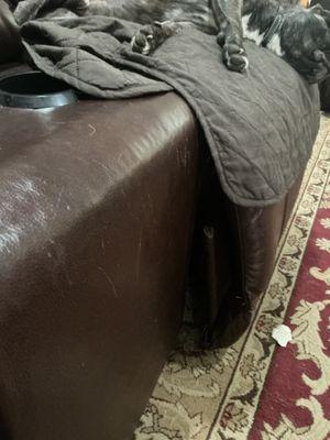 La-Z-Boy Furniture Galleries