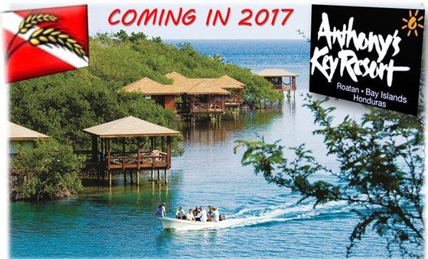 Amber Waves Diving Company