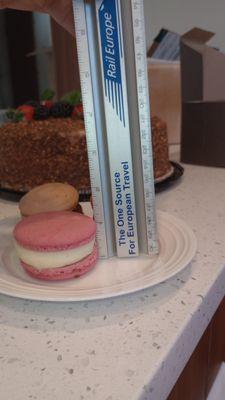 Here's the ruler to prove it!