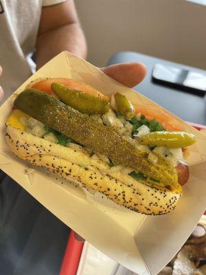 Chicago Style Hot Dog