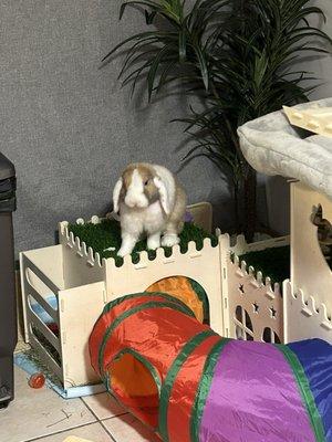 Riverside Animal Hospital