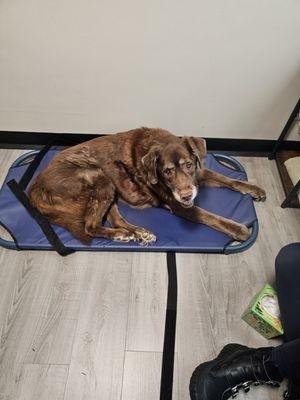 Bayview Veterinary Hospital