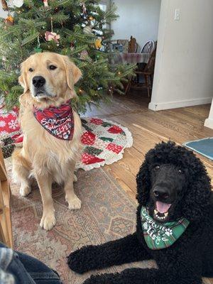 Winthrop Veterinary Hospital