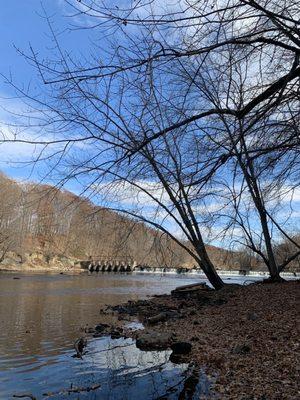 View of Grand River from Fitzgerald Park