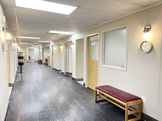 Callan Orthodontics
